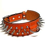 Зоотовары handmade. Livemaster - original item Collars: The collar is orange with spikes. Handmade.