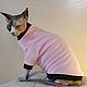Clothing for cats Jacket 'Stylish!', Pet clothes, Biisk,  Фото №1