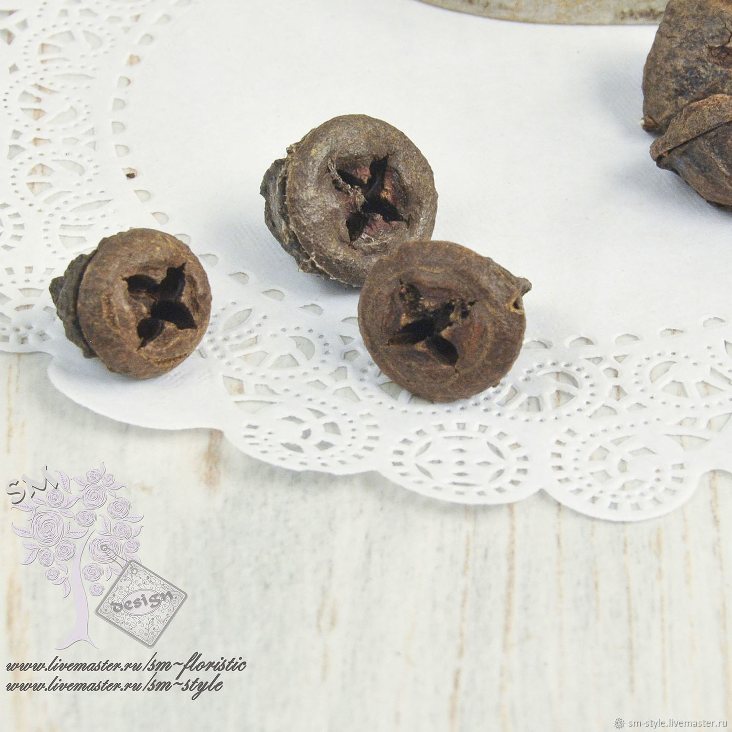 Семена эвкалипта (5 шт.) 9748 – купить на Ярмарке Мастеров – K25NIRU ...