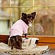 Одежда для собак: Вязаное платье свитер  для маленькой собачки, Одежда для питомцев, Всеволожск,  Фото №1