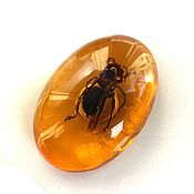 Сувениры и подарки handmade. Livemaster - original item Magnet Bee in resin real bee resin under amber souvenir. Handmade.