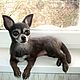 Order Dog Nyusha toy terrier interior toy dog felted from wool. Woolen Zoo. Livemaster. . Felted Toy Фото №3