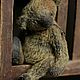 Заказать Мишка Honey. Светлана Ситникова. Ярмарка Мастеров. . Мишки Тедди Фото №3