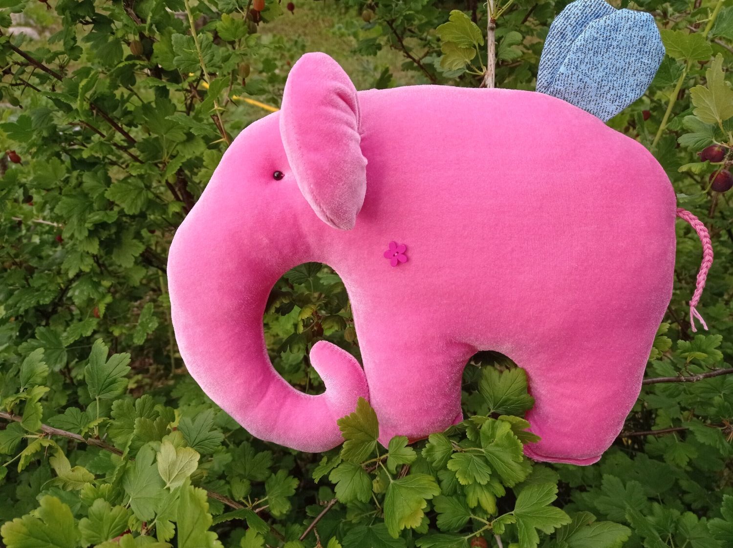 Розовый слон фото картинки