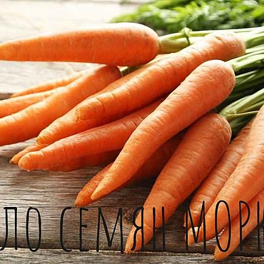 Материалы для творчества ручной работы. Ярмарка Мастеров - ручная работа Масло моркови, семян моркови масло нерафинированное 25 мл. Handmade.