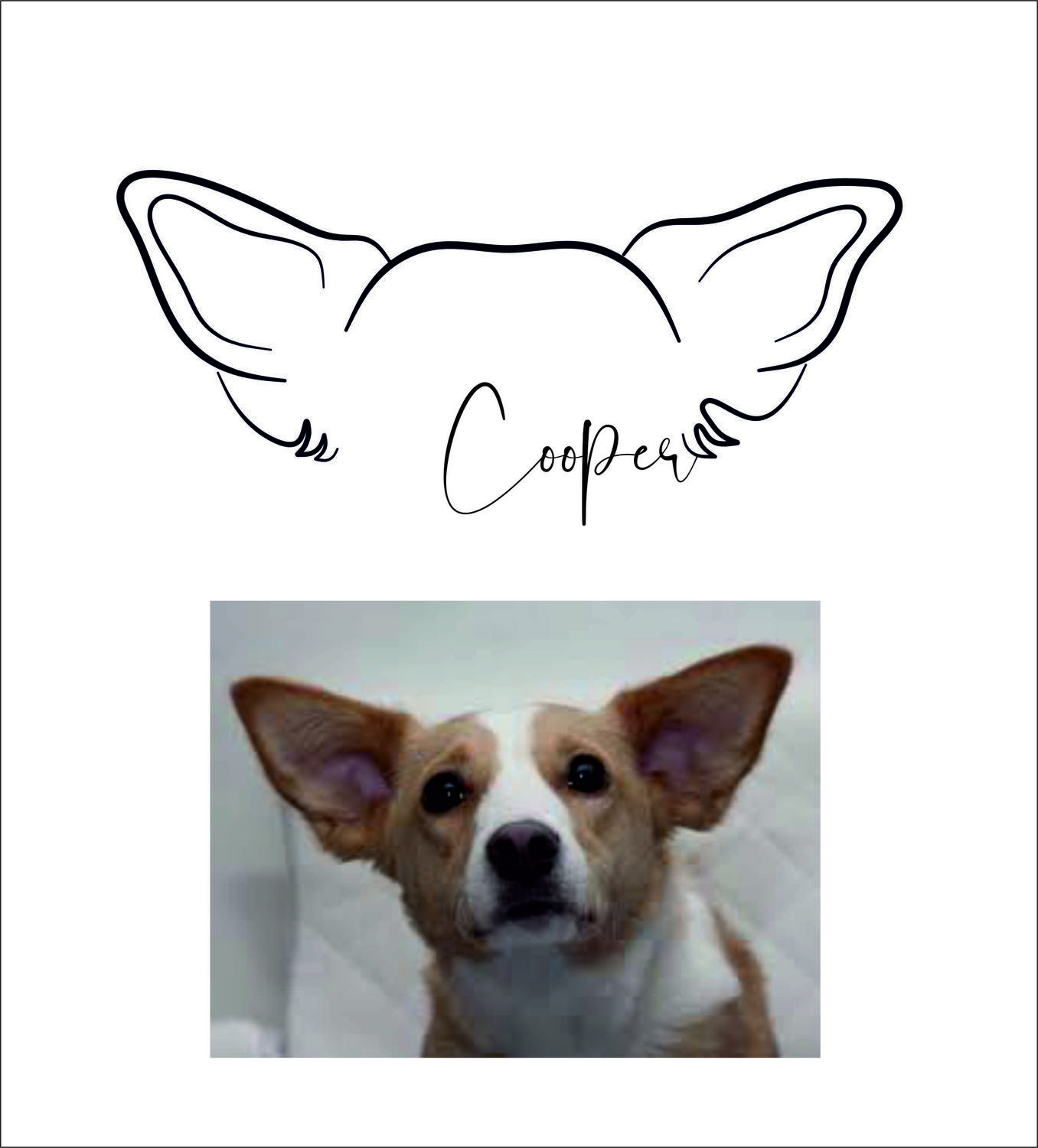 Как рисовать уши собаки