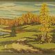 Вышитая картина "Осенний пейзаж" В багете, Картины, Санкт-Петербург,  Фото №1