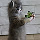 Felt sculpture ' Kitten with a butterfly'. Felted Toy. Anna Petinati- Live toys handmade. My Livemaster. Фото №4