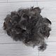 Dog hair (Tibetan Mastiff hair), Fiber, Moscow,  Фото №1