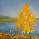 Oil painting miniature 'Wealth of autumn', oil painting, Pictures, Moscow,  Фото №1