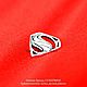 Значок брошь СУПЕРМЕН ЧЕЛОВЕК ИЗ СТАЛИ SUPERMAN pin badge brooch. Значок. WiLiJe: WildLife Jewelery. Интернет-магазин Ярмарка Мастеров.  Фото №2