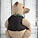 Sir Romuald, author Teddy bear (23cm). Teddy Bears. Olga Rybkina. My Livemaster. Фото №6