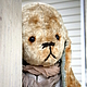 Dog 'Kai', Stuffed Toys, Obninsk,  Фото №1