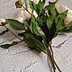 Пионы из фоамирана. Букеты. Natashaflowers_decor. Ярмарка Мастеров.  Фото №6