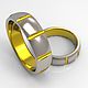 Titanium rings with gold anodizing, Rings, Moscow,  Фото №1