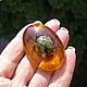 Magnet Beetle Scarab in Resin Amber Souvenir Gift Amulet, Magnets, Kaliningrad,  Фото №1