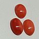 Коралл Sardegna /Италия – Кабошон овал - 11-12х9 мм - Трио. Кабошоны. ТАНАГРА gemstones (винтаж). Интернет-магазин Ярмарка Мастеров.  Фото №2