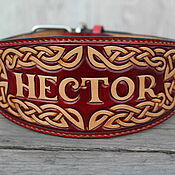 Straight leather dog collar with studs