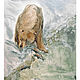 'The owner came' watercolor (animals, landscape). Pictures. Nadezda Perova. Online shopping on My Livemaster.  Фото №2