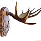 Order The horn of a moose on a medallion of solid beech wood, handmade. Unique items made of wood, handmade. Livemaster. . Interior elements Фото №3