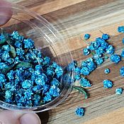 Материалы для творчества handmade. Livemaster - original item the dried flowers. Baby`s breath, scattering. Handmade.