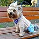 Jumpsuit for dogs, Pet clothes, Sochi,  Фото №1