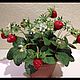 Strawberries. Composition. Flourish (kalinowa2010). Online shopping on My Livemaster.  Фото №2