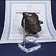 Метеорит Кампо-дель-Сьело. Статуэтки. MeteoritеStyle. Ярмарка Мастеров.  Фото №6