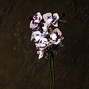 Для дома и интерьера handmade. Livemaster - original item Composition-night light of orchids 