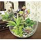 Succulents mini-garden in a large glass vase with a bevel, Plants, Moscow,  Фото №1