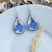 Украшения handmade. Livemaster - original item Resin drop Earrings with real blue flowers. Handmade.