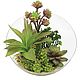 Succulents mini-garden in a large glass vase with a bevel. Plants. best-coll-mos. Online shopping on My Livemaster.  Фото №2