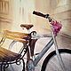 Картина велосипед с цветами розовыми сепия в коричневых оттенках, Картины, Москва,  Фото №1