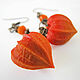 Physalis long earrings made of polymer clay on a copper chain. Earrings. Bionika - Polymer Clay Jewelry (Bionika). My Livemaster. Фото №4
