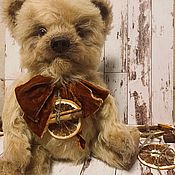 Teddy Bear. Muscat