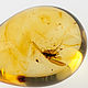 Baltic amber. Model. BALTIC GOLD. Online shopping on My Livemaster.  Фото №2