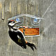 Bird feeder on the window ' Estet horizon'. Bird feeders. Art bird feeder. Online shopping on My Livemaster.  Фото №2