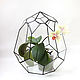The Floriana for plants. Geometric vase for Floriana. Pots1. Glass Flowers. Online shopping on My Livemaster.  Фото №2