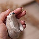 Амигуруми, вязаный мишка, мишка обнимусь, каркасная игрушка. Амигуруми куклы и игрушки. Elinkauglova Живопись и хендмейд (elinkauglova). Ярмарка Мастеров.  Фото №4