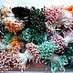 Triple Beam! Matte medium stamens for flowers, assorted, 600 stamens, Stamens, Izhevsk,  Фото №1