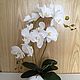 Белые орхидеи в низком кашпо "сердечко", Композиции, Москва,  Фото №1