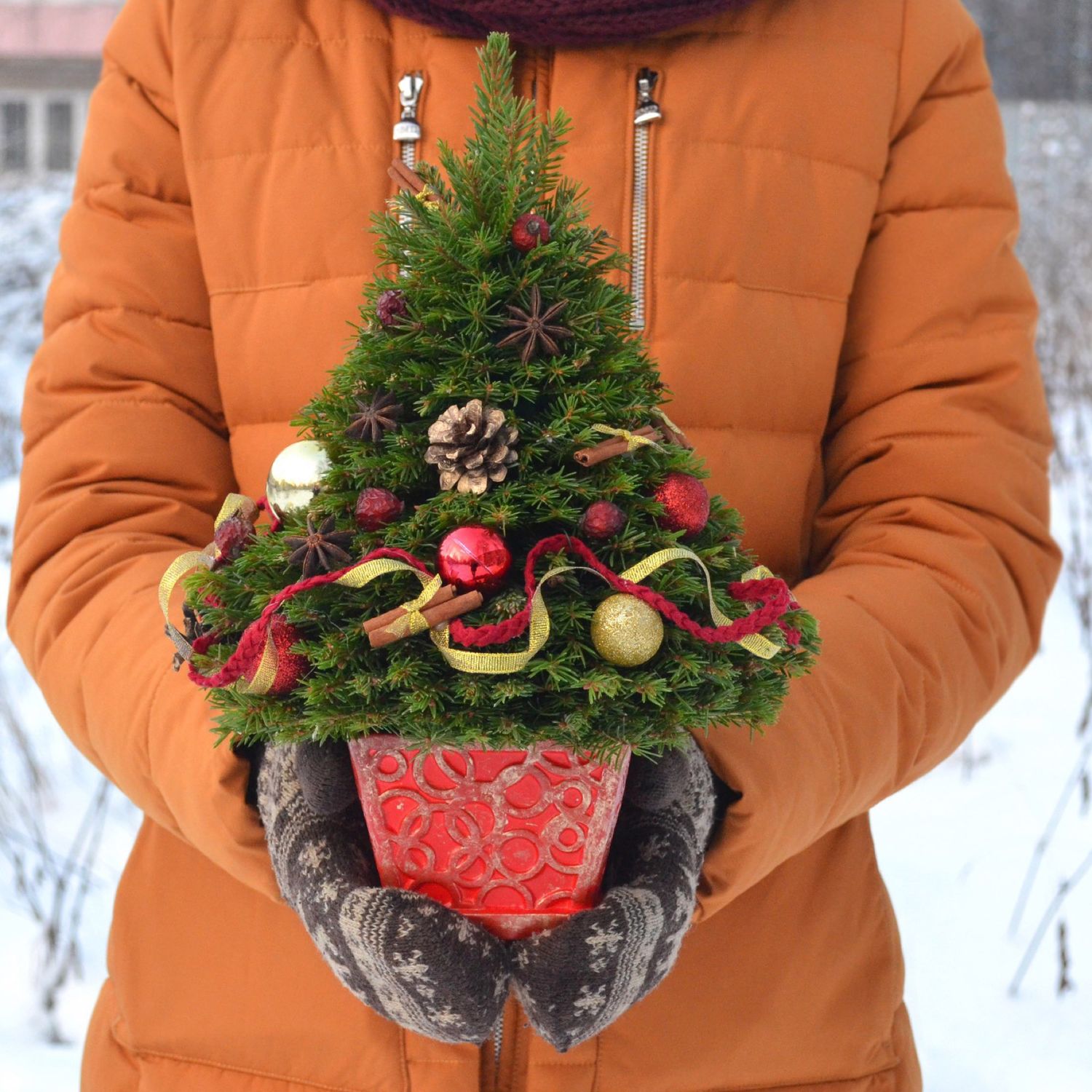 Новогодняя Ель Купить