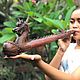 Трубка: Dragon Way из Эбена. Трубки. Shamanic-staff. Ярмарка Мастеров.  Фото №4