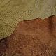 Piel de avestruz, vestido suave, color marrón oscuro. Leather. SHOES&BAGS. Интернет-магазин Ярмарка Мастеров.  Фото №2