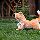 Teddy Animals: A red-haired kitten. Teddy Toys. Felt toys (rushanatim). My Livemaster. Фото №6