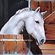 Картина пастелью Лошадь (белый коричневый черный), Картины, Южноуральск,  Фото №1