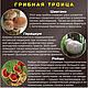 Грибы долголетия: Ежовик,чага, рейши,эноки,кордицепс, шиитаке,веселка. Наборы чая и кофе. ГриБог (gribog). Ярмарка Мастеров.  Фото №7