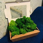 Материалы для творчества handmade. Livemaster - original item Stabilized moss yagel 100 g from the manufacturer. Handmade.