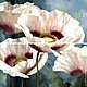 Диптих "Белые цветы", Картины, Санкт-Петербург,  Фото №1