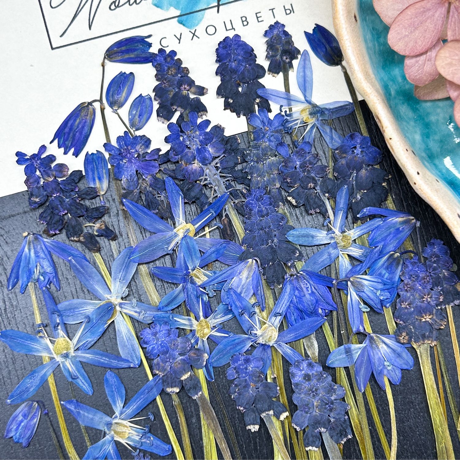 Сухоцветы для Скрапбукинга — купить в интернет-магазине OZON по выгодной цене